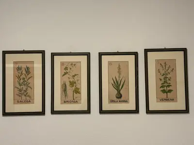 Planimetria di Casa Giorgina