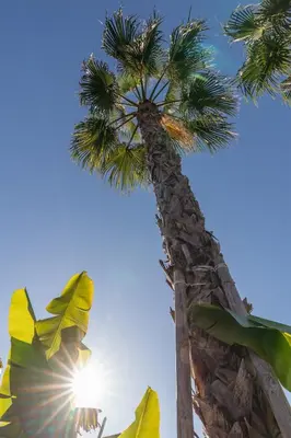 Planimetria di Vibra Sun Village
