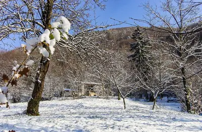 Agriturismo Cargador de Ron durante l'inverno