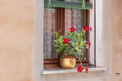 Planimetria di Studio Flat Calle Furlane, Venice - Castello
