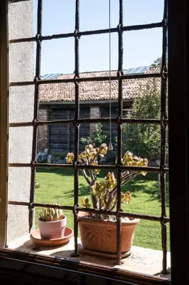 Giardino di Ca' Contarini