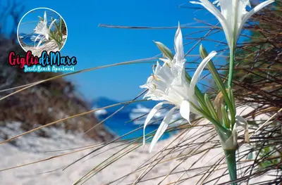 Paesaggio naturale nelle vicinanze dell'appartamento