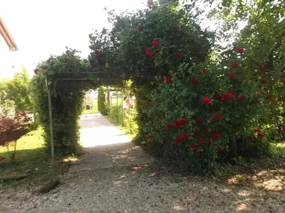 Planimetria di Agriturismo La Prateria