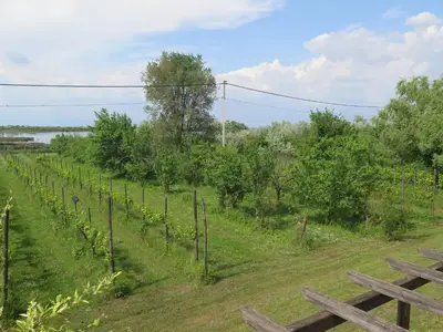 Paesaggio naturale nelle vicinanze dell'appartamento