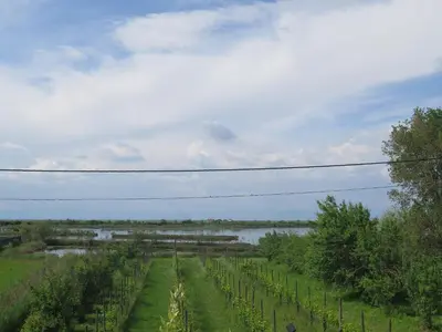 Paesaggio naturale nelle vicinanze dell'appartamento