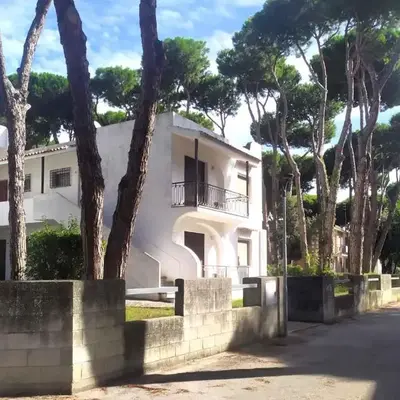 Apartments in Rosolina Mare 25084