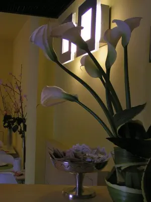 Planimetria di Albergo Verdi