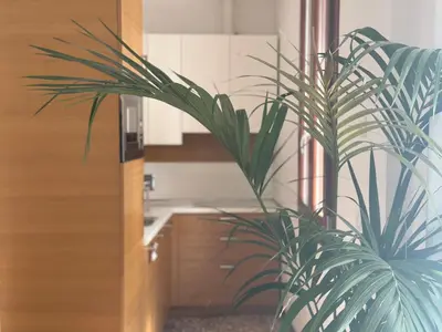 Cucina o angolo cottura di Ca' d'Oro suite