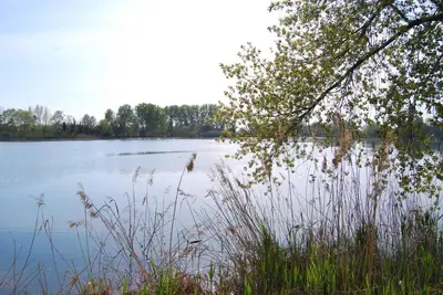 Paesaggio naturale nelle vicinanze dell'appartamento