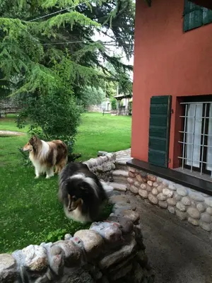 Ospiti di Ca' Boschetto con animali domestici