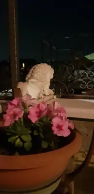 Planimetria di Casa Patricia