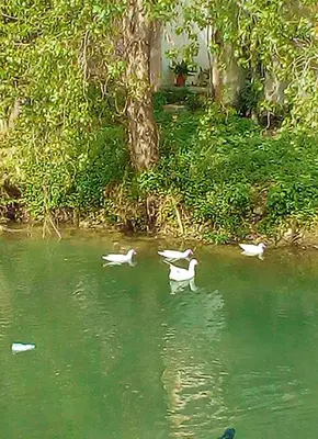 Vista sul fiume nelle vicinanze dell'appartamento