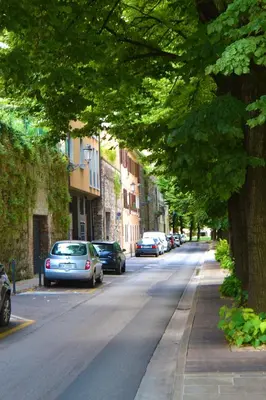 Il quartiere o una zona nella vicinanze dell'appartamento