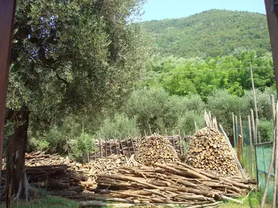 Paesaggio naturale nelle vicinanze dell'agriturismo