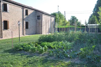 Giardino di Casa Sansovino