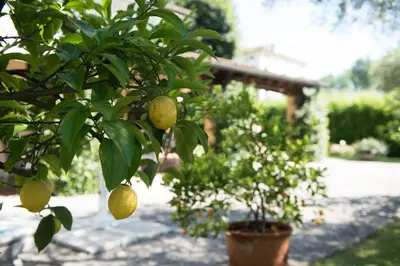 Giardino di Le Tre Querce B&B
