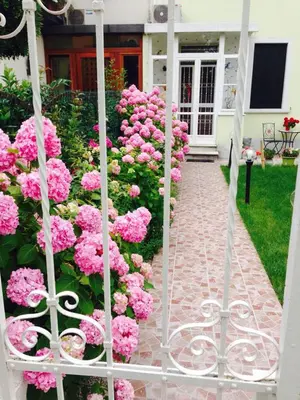 Giardino di Casa Bianca