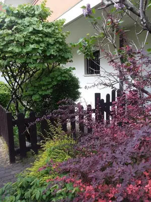 Giardino di Ground floor,Top level