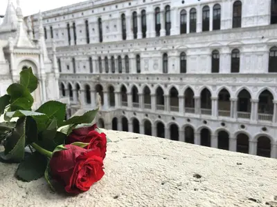 Planimetria di Angeles Inn