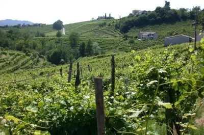 Paesaggio naturale nelle vicinanze del bed & breakfast