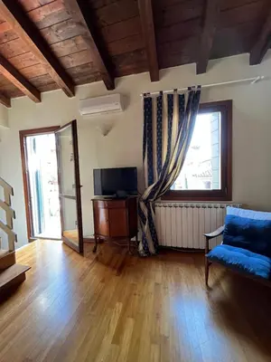 TV o dispositivi per l'intrattenimento presso Romantic Rialto Apartment