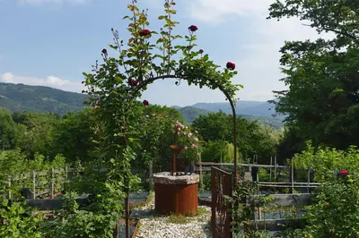 Paesaggio naturale nelle vicinanze della casa vacanze