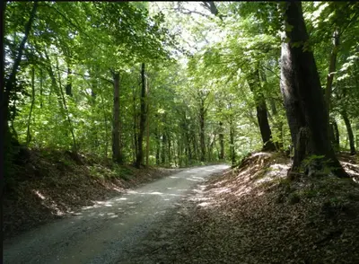 Paesaggio naturale nelle vicinanze del bed & breakfast