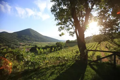 Paesaggio naturale nelle vicinanze del bed & breakfast