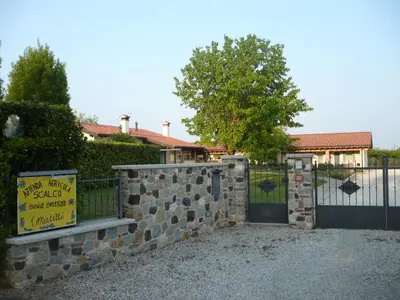 Planimetria di i mirtilli