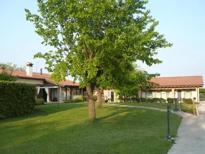 Giardino di i mirtilli