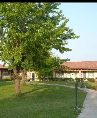 Giardino di i mirtilli