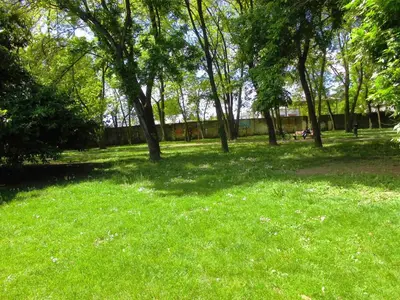 Giardino di Solo TUO