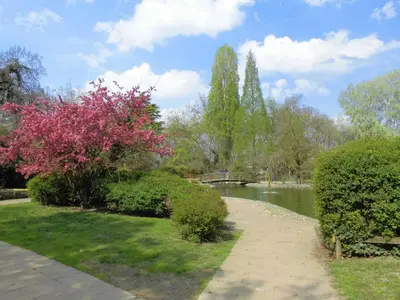 Giardino di Solo TUO