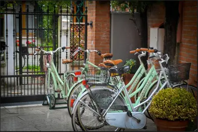 Attività di ciclismo presso l'hotel o nelle vicinanze
