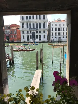 Vista sul fiume nelle vicinanze dell'appartamento
