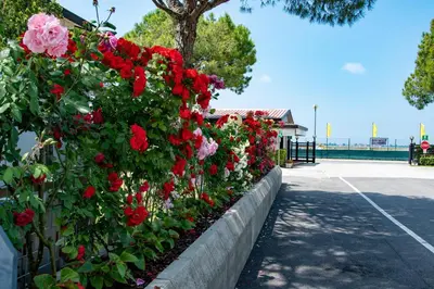 Planimetria di Camping Village Miramare