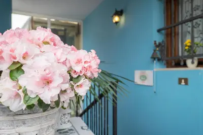 Planimetria di Berici Bed and Breakfast