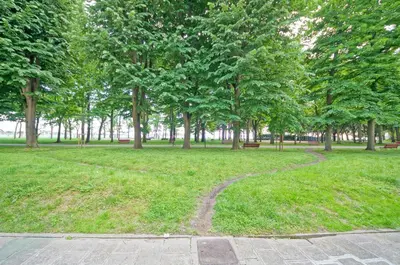 Giardino di DolceVita Apartments N 331