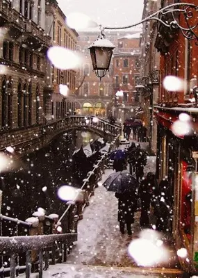 The Merchant of Venice durante l'inverno