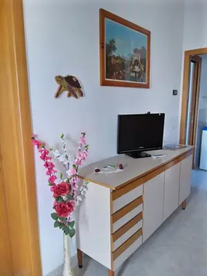 TV o dispositivi per l'intrattenimento presso Come a casa - near VENEZIA
