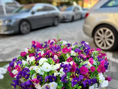 Giardino di Regina Urban Beach Hotel
