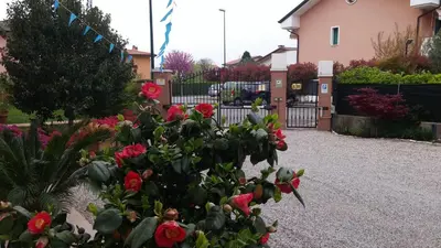 Giardino di Dream Venice Airport