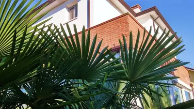 Edificio in cui si trova l'appartamento