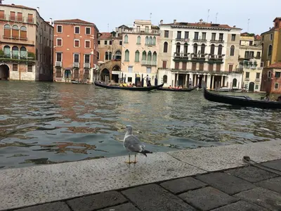 Vista sul fiume nelle vicinanze dell'affittacamere