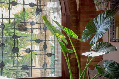 Giardino di Ca' delle palme