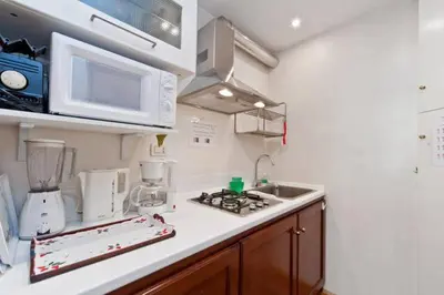 Cucina o angolo cottura di Appartamento Accademia San Vio