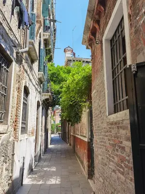 Il quartiere o una zona nella vicinanze dell'appartamento