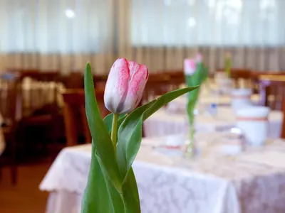 Ristorante o altro punto ristoro di Hotel Marconi