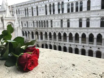 Planimetria di Inn Venice