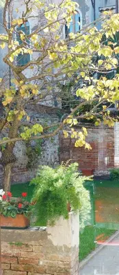 Giardino di B&B HORTUS